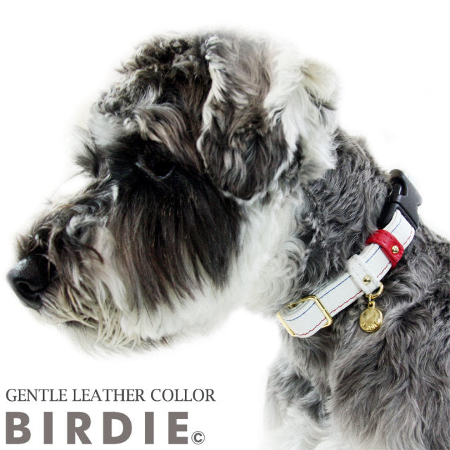 バーディ BIRDIE ジェントルレザーカラー【犬用 ペット 首輪 カジュアル カラー】