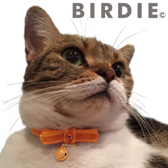バーディ BIRDIE CATベイカーカラー【猫用 首輪 カジュアル カラー】