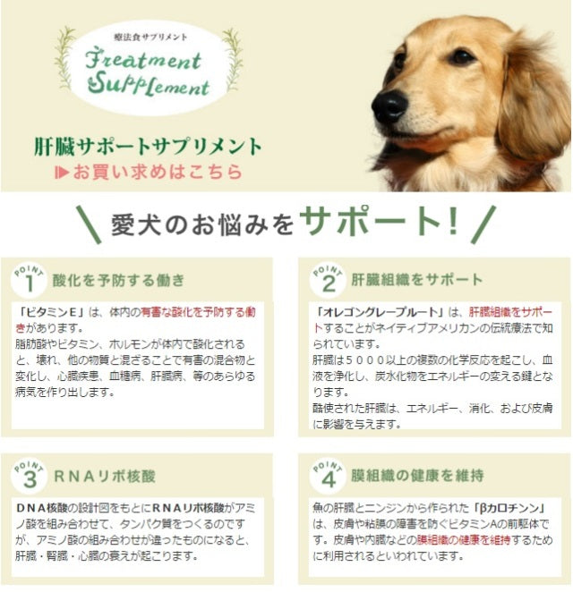 ビッグウッド BIGWOOD ケムエックスサプリ 35g【犬用 サプリメント 肝臓 免疫強化 総合栄養補助】