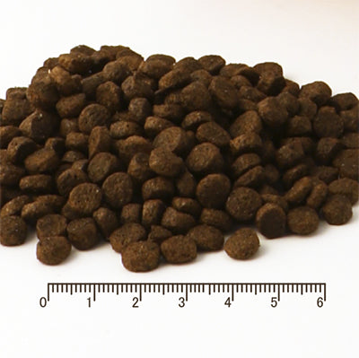 フィッシュ4 ドッグ FISH4DOGS スーペリア パピー【犬 パピー 仔犬 ドライフード 魚】