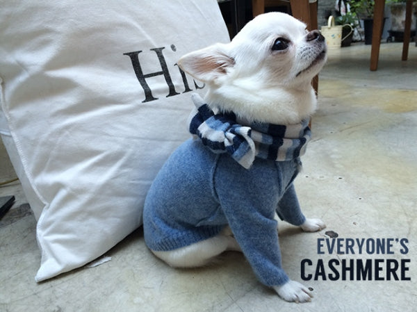 ルイスドッグ louisdog Cashmere Cardigan【小型犬 ウエア セーター カーディガン ニット 犬服 セレブ】