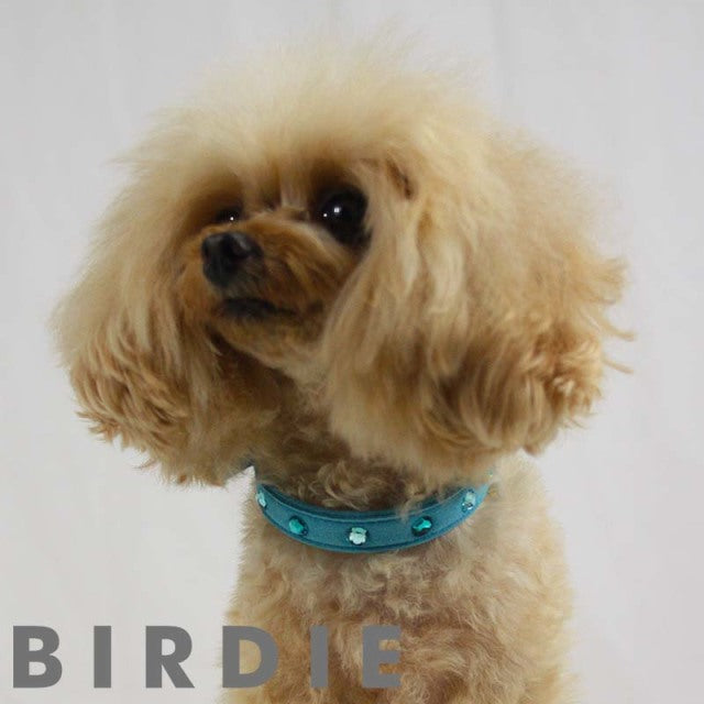 バーディ BIRDIE リンバーカラー【犬用 ペット 首輪 カラー カジュアル 】