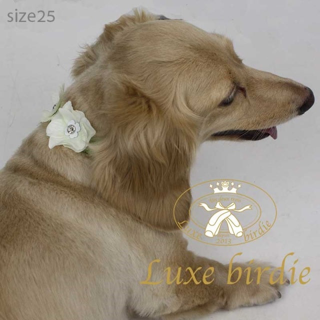 リュクスバーディ Luxe birdie Luxeエルダーフラワーカラー【小型犬 ペット カラー 首輪 ラグジュアリー セレブ】