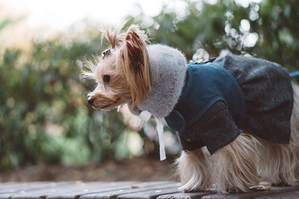 ルイスドッグ louisdog Beyond Wool Jacket【犬服 小型犬 ウエア セレブ アウター 上着 ジャケット コート 】