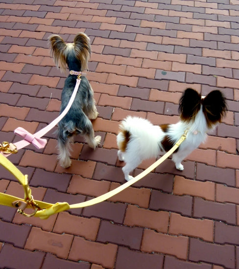 ミントタン minttan パステルリボン リード【小型犬 リード セレブ】
