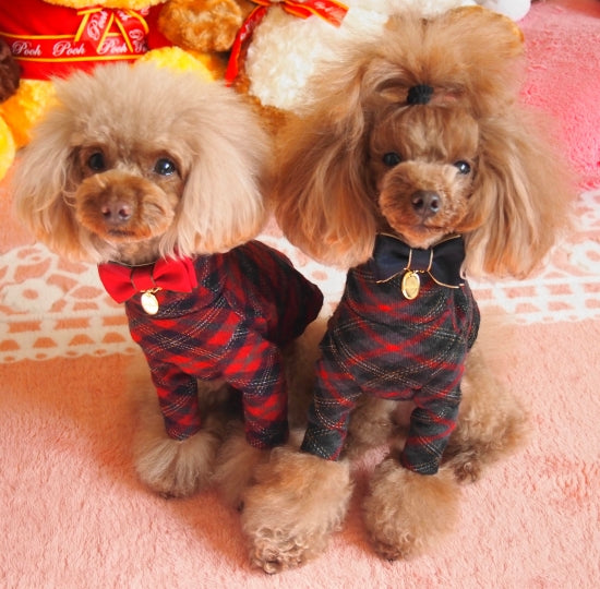 ミントタン minttan サイドラインリボン 首輪【小型犬 首輪 カラー セレブ】
