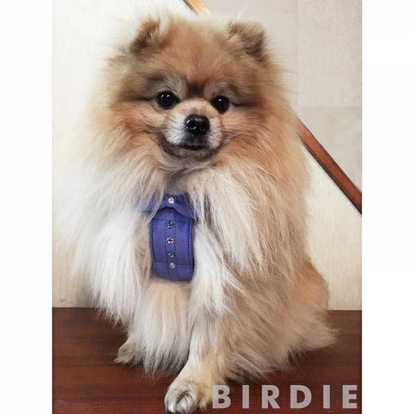 バーディ BIRDIE リンバーハーネス(S)【小型犬 犬用 ハーネス 胴輪 カジュアル】 送料無料