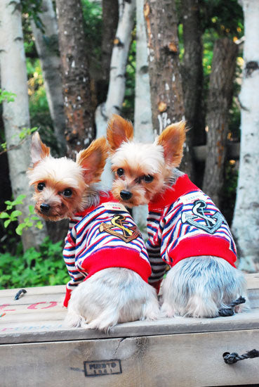 プエルト PUERTO トリコジップアップ(ワッペンあり)【小型犬 犬服 ウエア トップス シャツ セレブ】