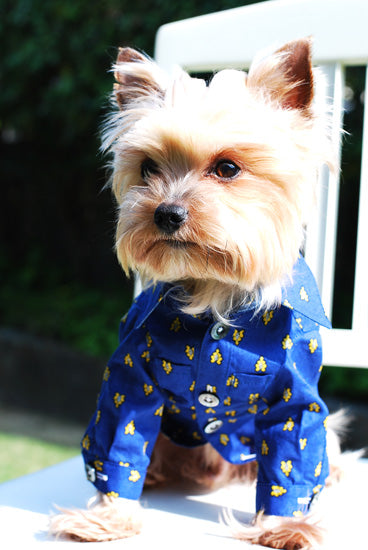 プエルト PUERTO プロバンスシャツ(BL)【小型犬 犬服 ウエア トップス シャツ セレブ 】