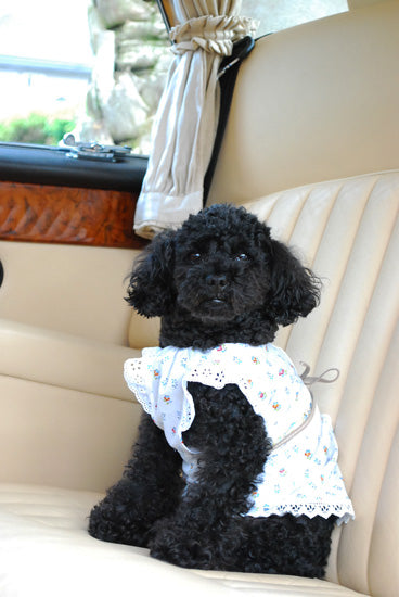 プエルト PUERTO プロバンスガーデンエプロン【小型犬 犬服 ウエア トップス Tシャツ カットソー セレブ 】