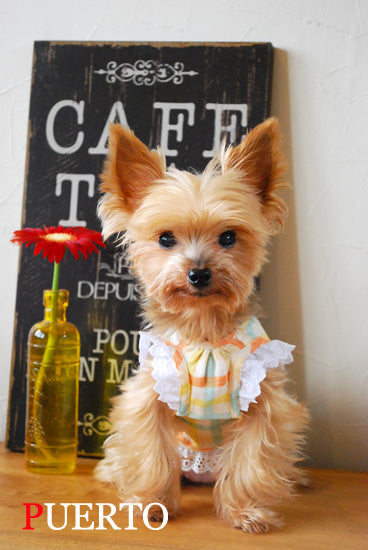 プエルト PUERTO ガーデンエプロン オレンジチェック【小型犬 犬服 ウエア トップス Tシャツ カットソー セレブ 】