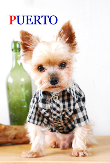 プエルト PUERTO 半袖ギンガムシャツ【小型犬 犬服 ウエア トップス シャツ セレブ 】