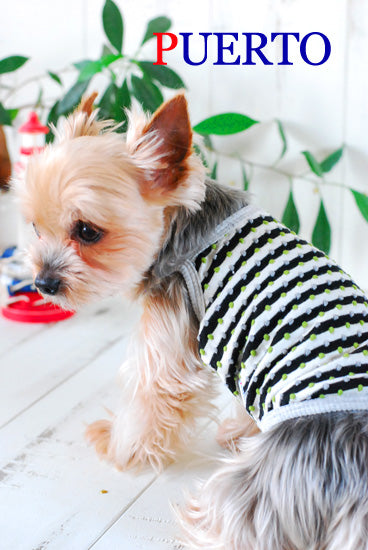 プエルト PUERTO ボーダードットタンク【小型犬 犬服 ウエア トップス タンク セレブ】