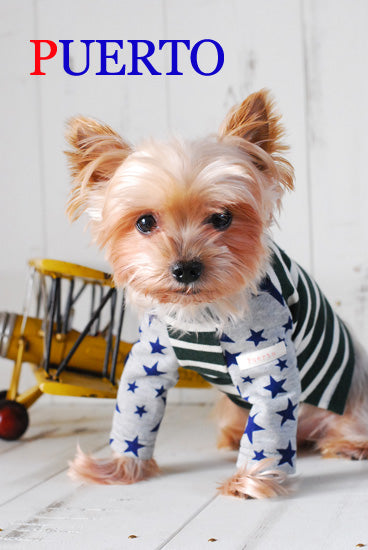 プエルト PUERTO グリーンスターボーダーカットソー【小型犬 犬服 ウエア トップス Tシャツ カットソー セレブ 】