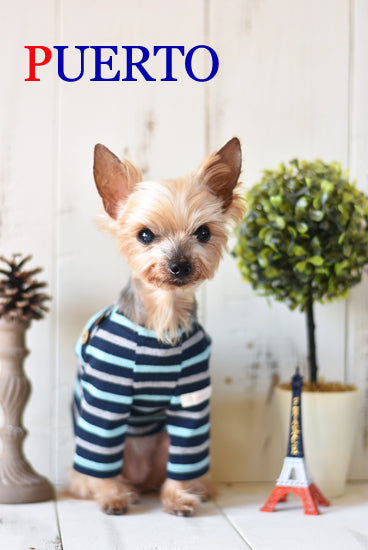 プエルト PUERTO フレンチカットソー(BL)【小型犬 犬服 ウエア トップス Tシャツ カットソー セレブ 】