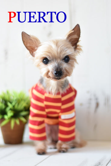 プエルト PUERTO グラナダカットソー(RD)【小型犬 犬服 ウエア トップス Tシャツ カットソー セレブ 】