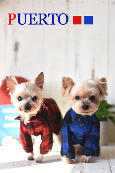 プエルト PUERTO ブロックスターワッペンシャツ【小型犬 犬服 ウエア トップス シャツ セレブ 】