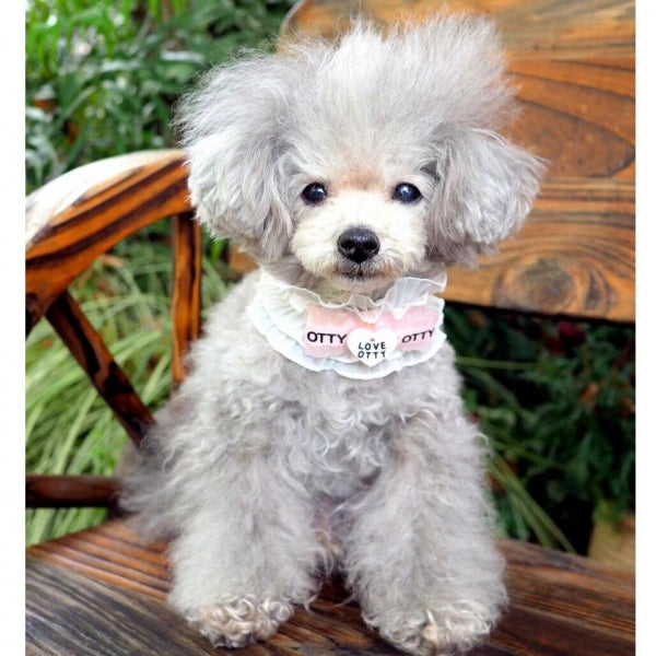 オッティ Otty フリルチョーカー【小型犬 アクセサリー ネックレス チョーカー】