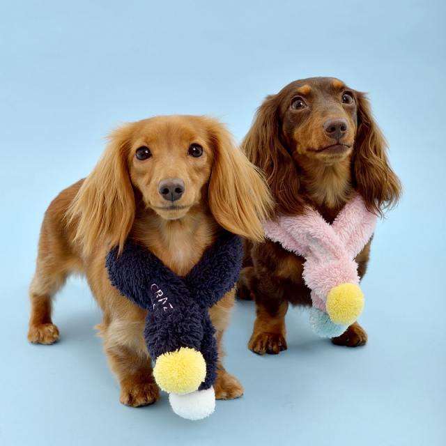 クレイジーブー CRAZYBOO 4色ボアマフラー【小型犬 マフラー 首巻き カジュアル】
