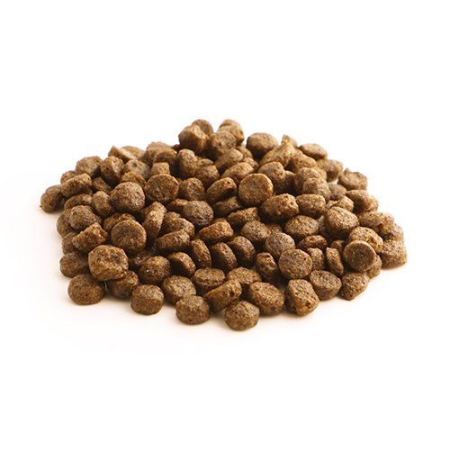 フィッシュ4 ドッグ FISH4DOGS ファイネスト FINEST パピー 小粒【子犬 パピー ドライフード 魚 穀類不使用】