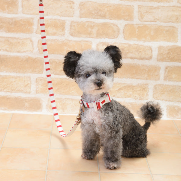 クレイジーブー CRAZYBOO ストライプリード【小型犬 犬用 リード カジュアル】
