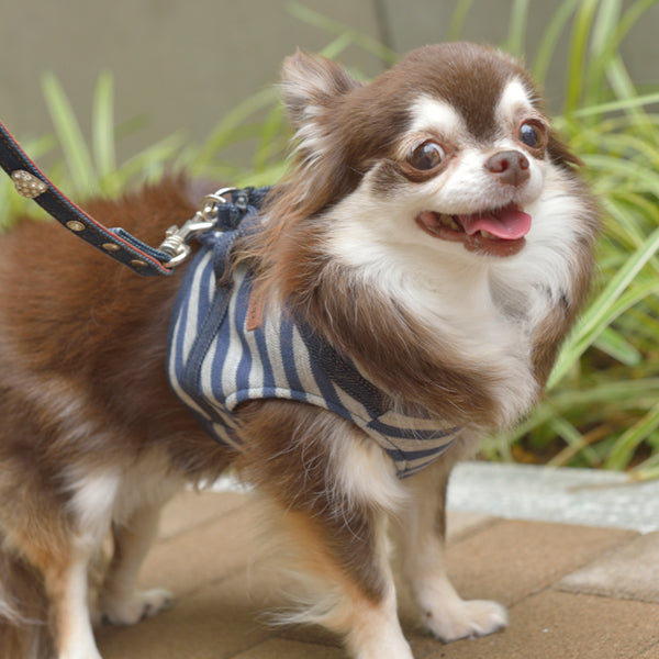 クレイジーブー CRAZYBOO ベーシックボーダーハーネス【小型犬 犬用 ハーネス 胴輪 カジュアル】