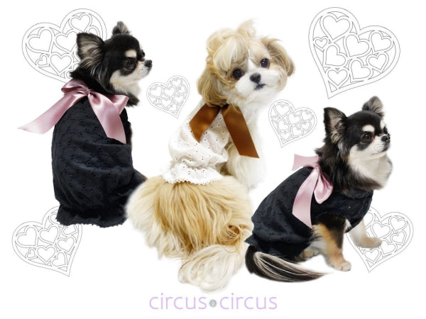 サーカスサーカス circus circus Present is me!OP(CCW-0198)【小型犬 犬服 ウエア ワンピース ドレス】