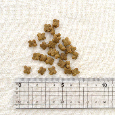 【NEW】ナウ フレッシュ NOW FRESH Grain Free スモールブリード アダルト【犬 ペット ドライフード グレインフリー 穀類不使用 成犬】