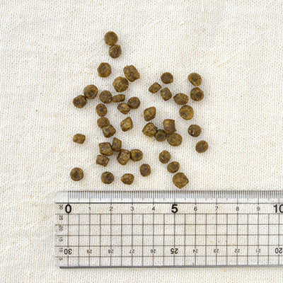 【NEW】ナウ フレッシュ NOW FRESH Grain Free アダルトキャット【猫用 キャット ドライフード グレインフリー 穀類不使用 アダルト】