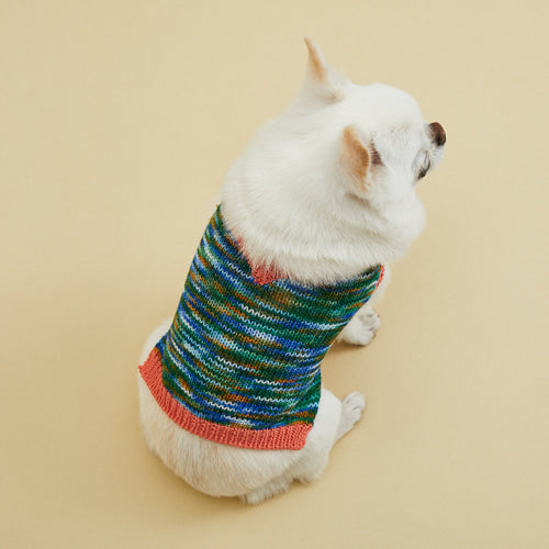 ルイスドッグ louisdog Genius Sweater Vest/V neck【小型犬 犬服 ウエア トップス ニット セーター ベスト セレブ】