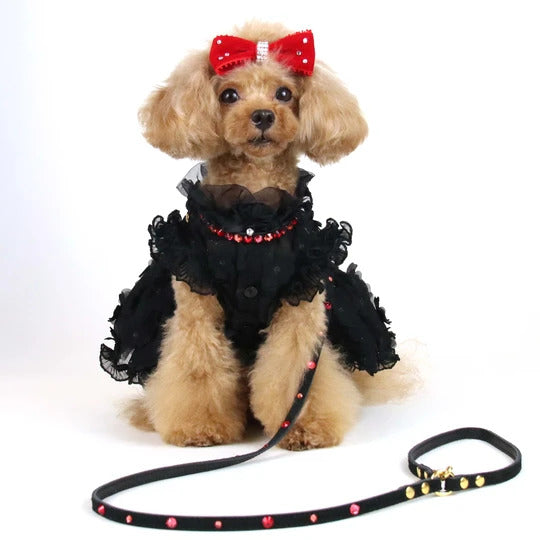 リュクスバーディ Luxe birdie グランマルチリード(BLACK×RED)【小型犬 ラグジュアリー リード セレブ 】