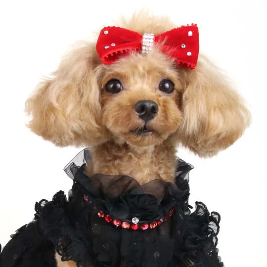 リュクスバーディ Luxe birdie グランマルチカラー(BLACK×RED)【小型犬 カラー ラグジュアリー 首輪 セレブ】