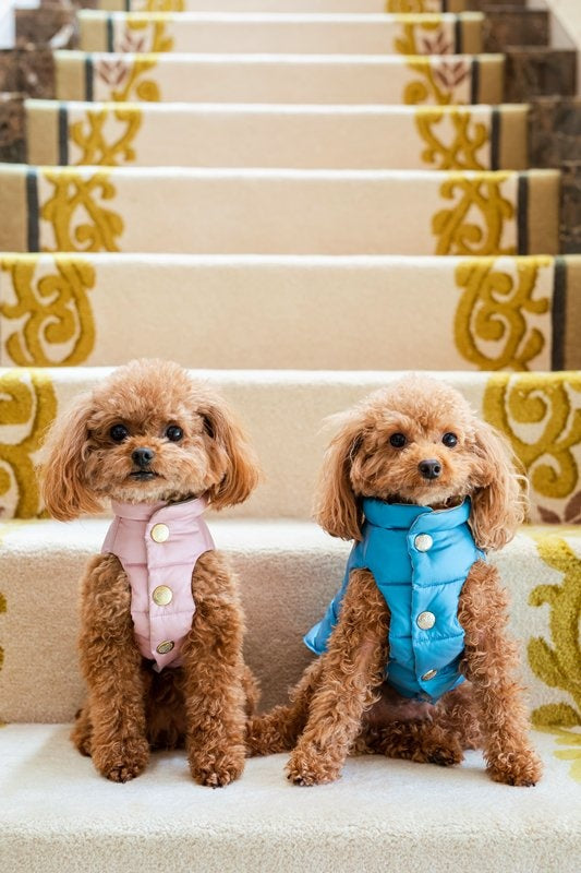 プエルト PUERTO ピカデリーサーカス リバーシブルダウンベスト(1/1h)【小型犬 犬服 ウエア アウター 上着 コート セレブ】 送料無料