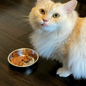 ビオリオーブ Bioliob キャット チキン・ディッシュ 80g×12【猫用 ペット レトルトフード おかず 手作りサポート食材 トッピング】 送料無料