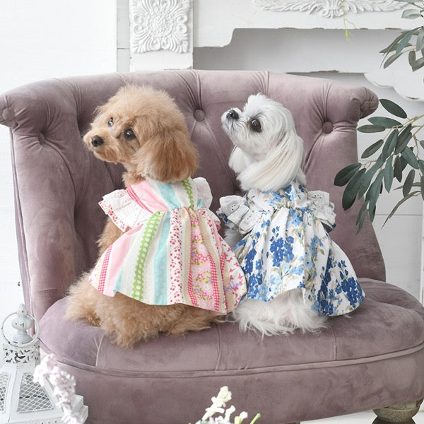 ローラアシュレイ LAURA ASHLEY ショルダーコットンフリルワンピース【小型犬 犬服 ウエア ワンピース ドレス セレブ】 – TIARA  PETS