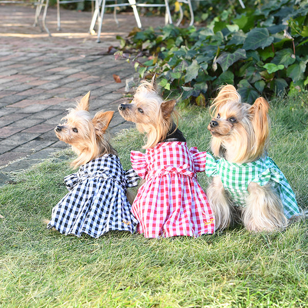 ロペピクニック ROPE PICNIC ギンガムチェックフリルショルダーワンピ【小型犬 犬服 ウエア スカート ワンピース ドレス セレブ】 –  TIARA PETS