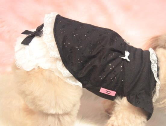 アキュミリア accu milia Newティアードフリルマナーパンツ【小型犬 ペット 犬服 セレブ マナーパンツ】
