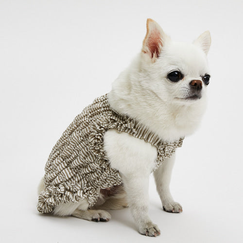 ルイスドッグ louisdog Spring Pants【小型犬 犬服 ウエア ロンパース パンツ セレブ】