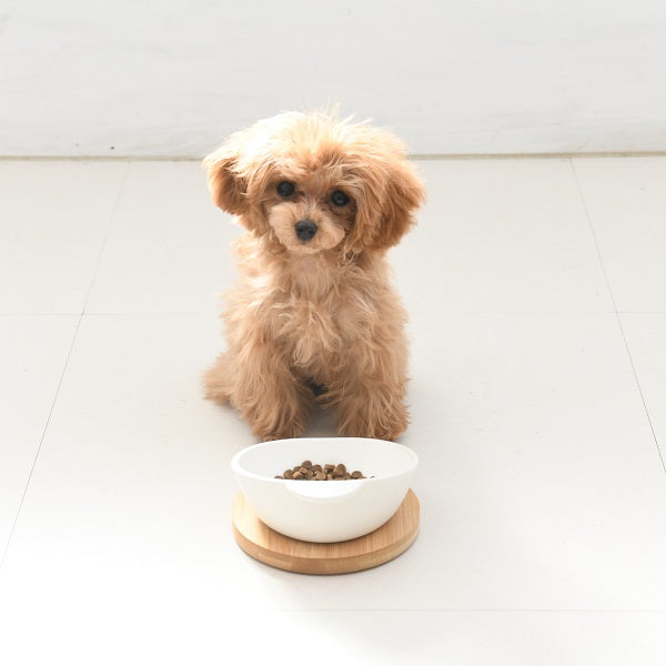 カルルプチ Calulu Petit バンブーフードボウル【犬用 フード ボウル ダイニンググッズ 食器】