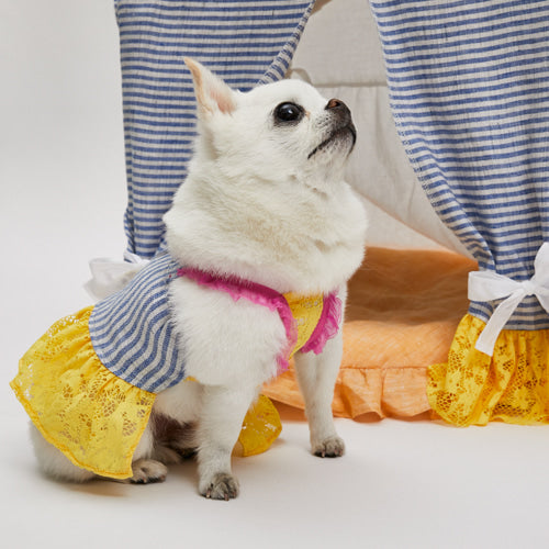 ルイスドッグ louisdog South Beach Dress【小型犬 犬服 ウエア スカート ワンピース ドレス セレブ】