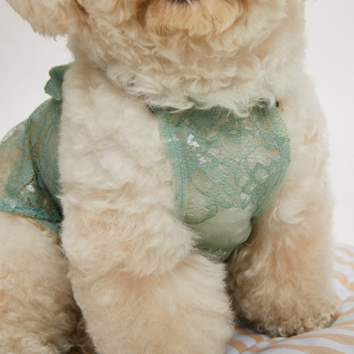 ルイスドッグ louisdog Sage Green Crochet Dress【小型犬 犬服 ウエア スカート ワンピース ドレス セレブ】