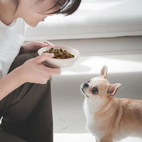 ヤムヤムヤム yum yum yum!シニア&ライト チキン やわらかドライタイプ【犬用 ドッグフード 成犬 シニア犬 老犬 ドライフード】