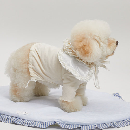 ルイスドッグ louisdog Bebi Frill Collar【小型犬 襟 カラー アクセサリー セレブ】