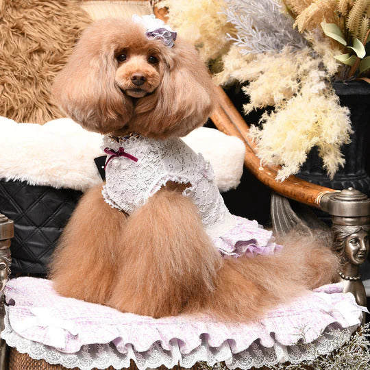 リュクスバーディ Luxe birdie アデルワンピース【小型犬 犬服 ウエア ワンピース ドレス セレブ】