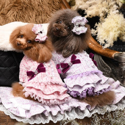 リュクスバーディ Luxe birdie アデルジャケット【犬服 小型犬 ウエア セレブ アウター 上着 ジャケット コート】