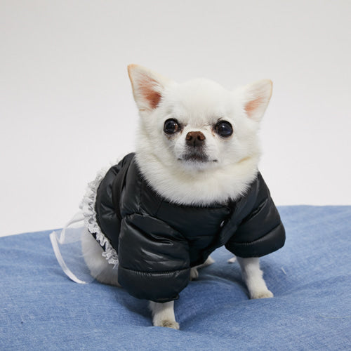 ルイスドッグ louisdog Black Chic Featherless Cocoon Jacket【犬服 小型犬 ウエア セレブ アウター 上着 ジャケット コート】