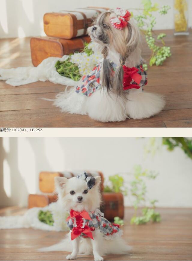 きゃんナナ CanNana いちごプリンセスワンピース 1107【小型犬 犬服 ウエア ワンピース ドレス セレブ】