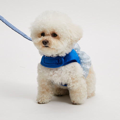 ルイスドッグ louisdog Velour Quilted Harness Set【小型犬 犬用 セレブ リード ハーネス 胴輪】
