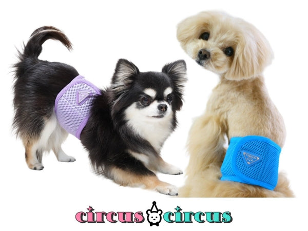 サーカスサーカス circus circus Chic Mesh マナーベルト(CCM-0024)【小型犬 ペット マナーバンド マーキングガード】