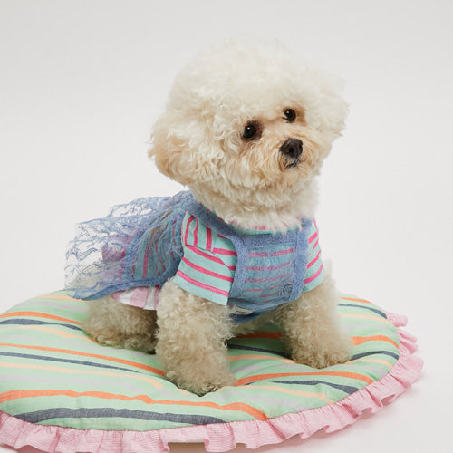 ルイスドッグ louisdog Vigorous Dress【小型犬 犬服 ウエア ワンピース ドレス セレブ】